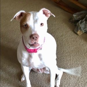 Meet your Posher, Stacy